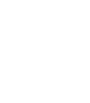 A Fully Integrated Model for Smart Investment